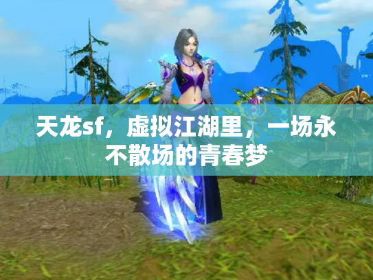 天龙sf，虚拟江湖里，一场永不散场的青春梦