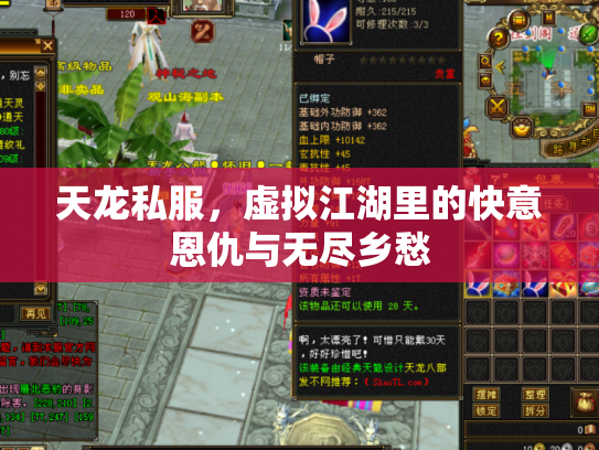天龙私服，虚拟江湖里的快意恩仇与无尽乡愁