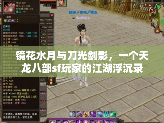 镜花水月与刀光剑影，一个天龙八部sf玩家的江湖浮沉录