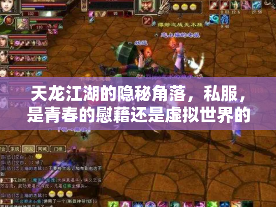天龙江湖的隐秘角落，私服，是青春的慰藉还是虚拟世界的毒瘤？