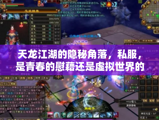 天龙江湖的隐秘角落，私服，是青春的慰藉还是虚拟世界的毒瘤？