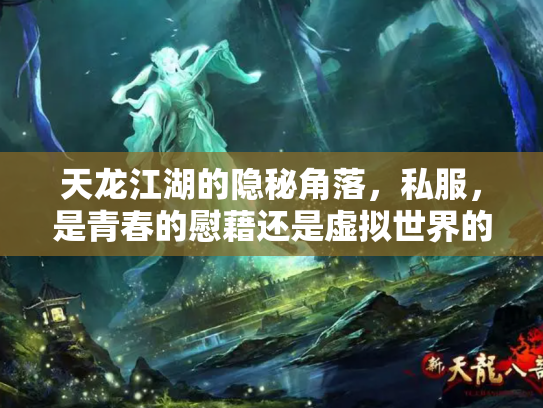 天龙江湖的隐秘角落，私服，是青春的慰藉还是虚拟世界的毒瘤？