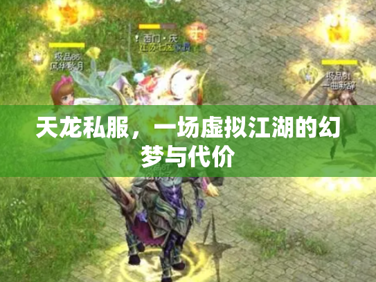 天龙私服，一场虚拟江湖的幻梦与代价