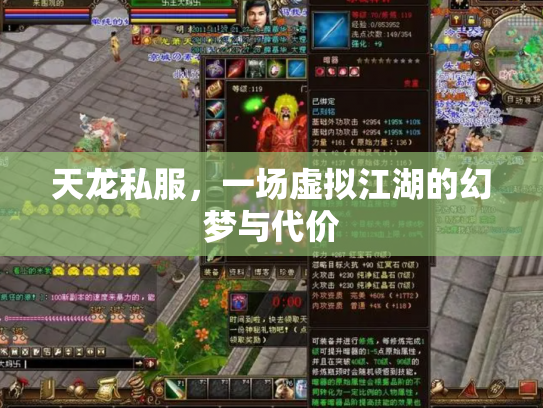 天龙私服，一场虚拟江湖的幻梦与代价