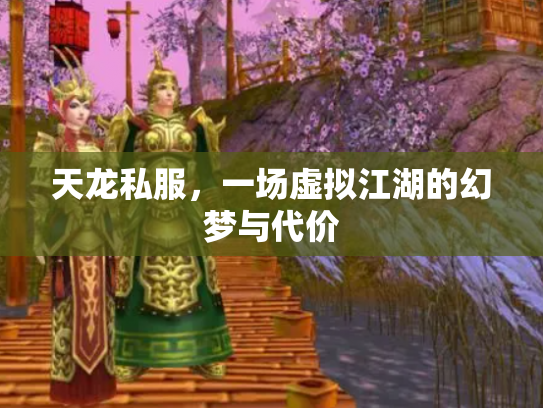 天龙私服，一场虚拟江湖的幻梦与代价