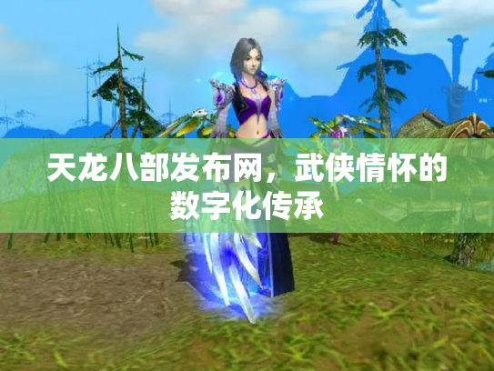 天龙八部发布网，武侠情怀的数字化传承