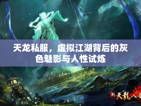 天龙私服，虚拟江湖背后的灰色魅影与人性试炼