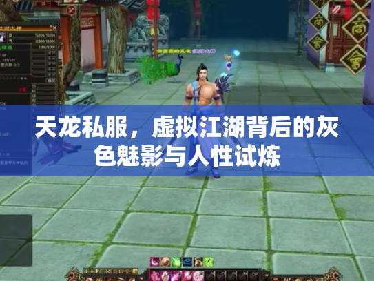 天龙私服，虚拟江湖背后的灰色魅影与人性试炼