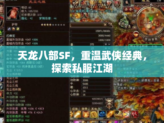 天龙八部SF，重温武侠经典，探索私服江湖