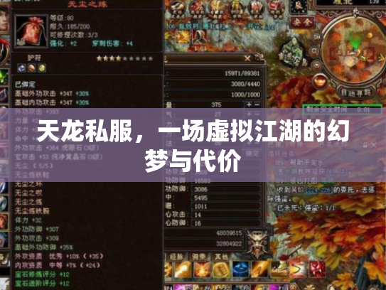 天龙私服，一场虚拟江湖的幻梦与代价