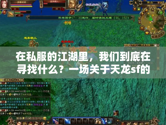 在私服的江湖里，我们到底在寻找什么？一场关于天龙sf的虚拟人类学考察