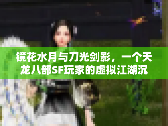 镜花水月与刀光剑影，一个天龙八部SF玩家的虚拟江湖沉思录
