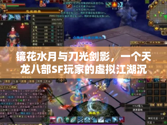 镜花水月与刀光剑影，一个天龙八部SF玩家的虚拟江湖沉思录