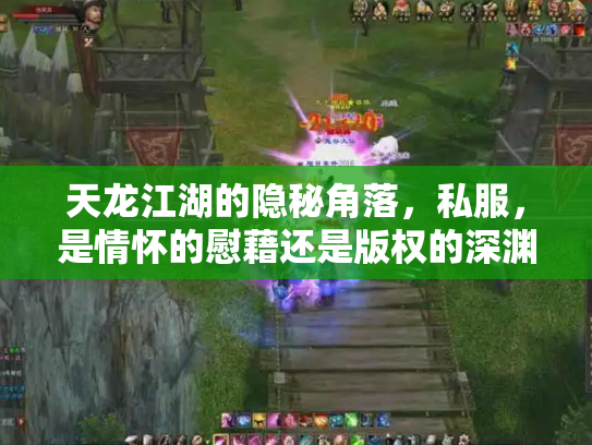 天龙江湖的隐秘角落，私服，是情怀的慰藉还是版权的深渊？