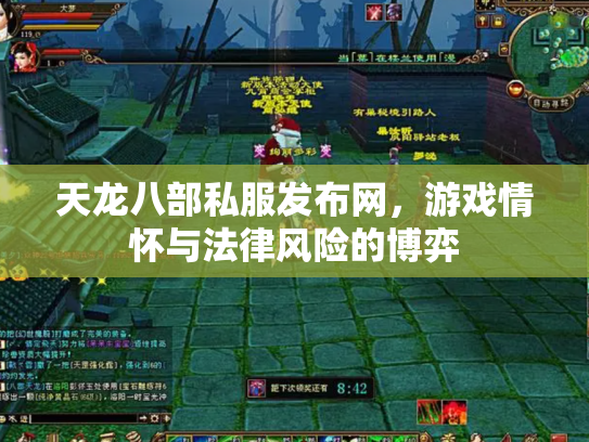 天龙八部私服发布网，游戏情怀与法律风险的博弈