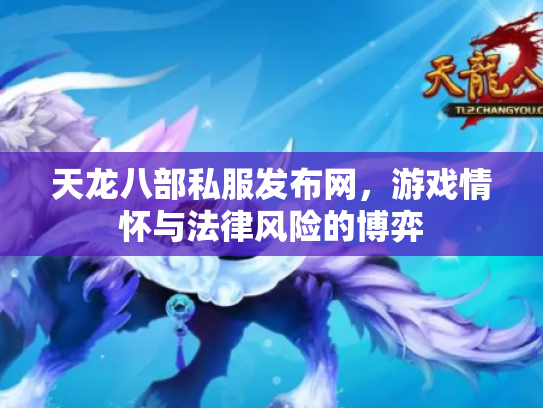 天龙八部私服发布网，游戏情怀与法律风险的博弈