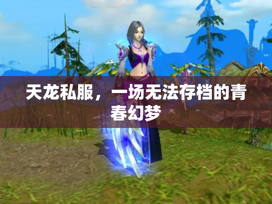 天龙私服，一场无法存档的青春幻梦