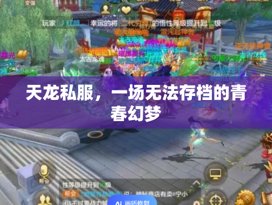 天龙私服，一场无法存档的青春幻梦