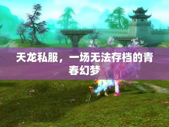 天龙私服，一场无法存档的青春幻梦