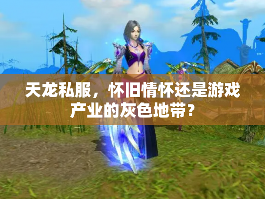 天龙私服，怀旧情怀还是游戏产业的灰色地带？