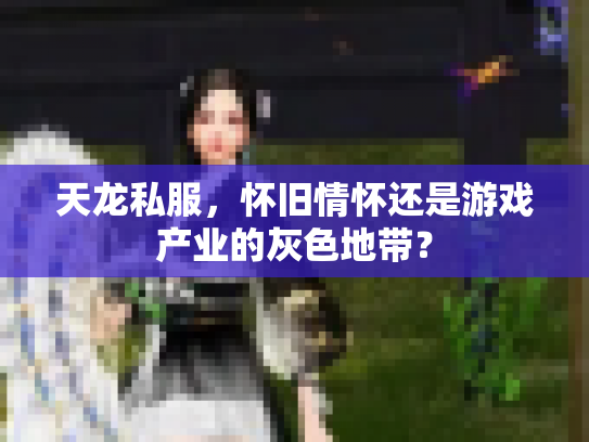 天龙私服，怀旧情怀还是游戏产业的灰色地带？