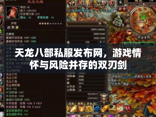 天龙八部私服发布网，游戏情怀与风险并存的双刃剑
