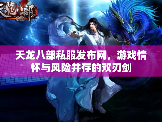 天龙八部私服发布网，游戏情怀与风险并存的双刃剑
