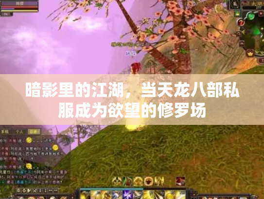 暗影里的江湖，当天龙八部私服成为欲望的修罗场