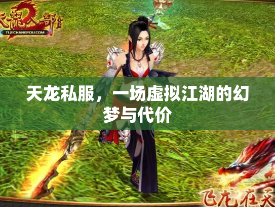 天龙私服，一场虚拟江湖的幻梦与代价