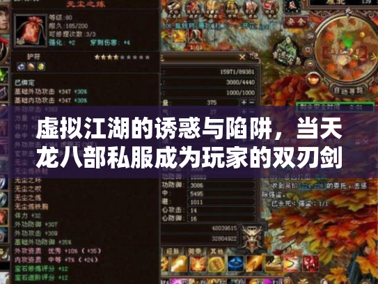 虚拟江湖的诱惑与陷阱，当天龙八部私服成为玩家的双刃剑