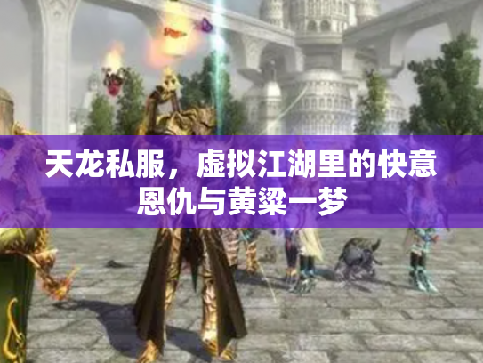 天龙私服，虚拟江湖里的快意恩仇与黄粱一梦