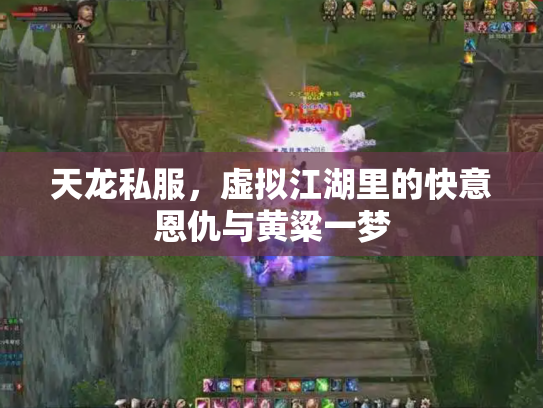 天龙私服，虚拟江湖里的快意恩仇与黄粱一梦