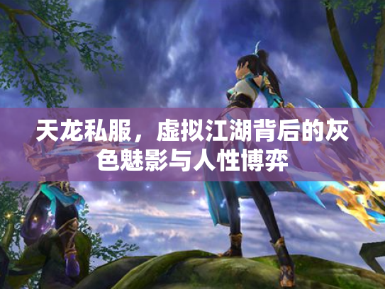 天龙私服，虚拟江湖背后的灰色魅影与人性博弈