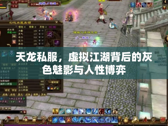 天龙私服，虚拟江湖背后的灰色魅影与人性博弈