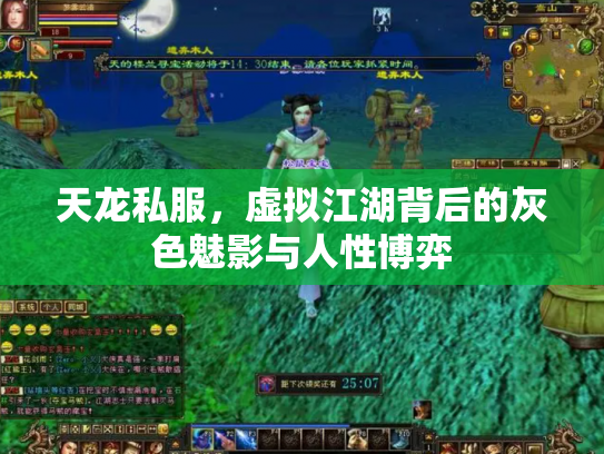 天龙私服，虚拟江湖背后的灰色魅影与人性博弈