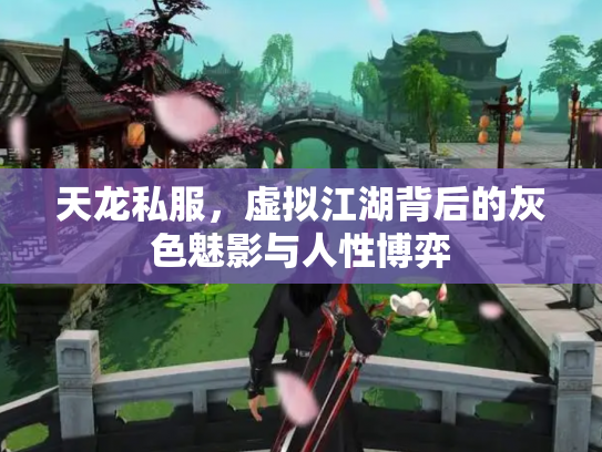 天龙私服，虚拟江湖背后的灰色魅影与人性博弈