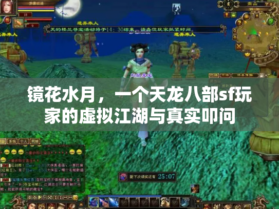 镜花水月，一个天龙八部sf玩家的虚拟江湖与真实叩问
