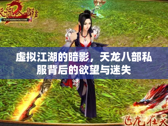 虚拟江湖的暗影，天龙八部私服背后的欲望与迷失