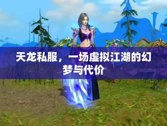 天龙私服，一场虚拟江湖的幻梦与代价
