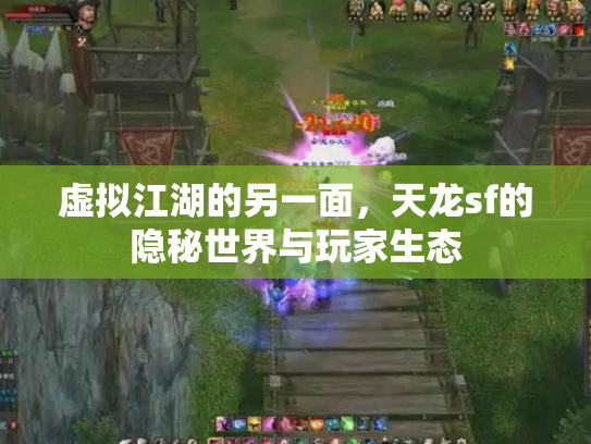 虚拟江湖的另一面，天龙sf的隐秘世界与玩家生态