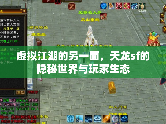 虚拟江湖的另一面，天龙sf的隐秘世界与玩家生态