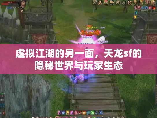 虚拟江湖的另一面，天龙sf的隐秘世界与玩家生态