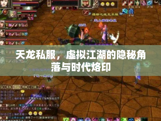天龙私服，虚拟江湖的隐秘角落与时代烙印
