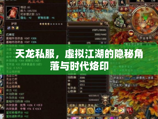 天龙私服，虚拟江湖的隐秘角落与时代烙印