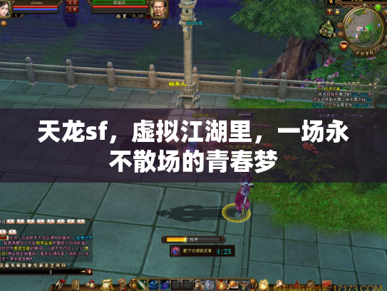 天龙sf，虚拟江湖里，一场永不散场的青春梦