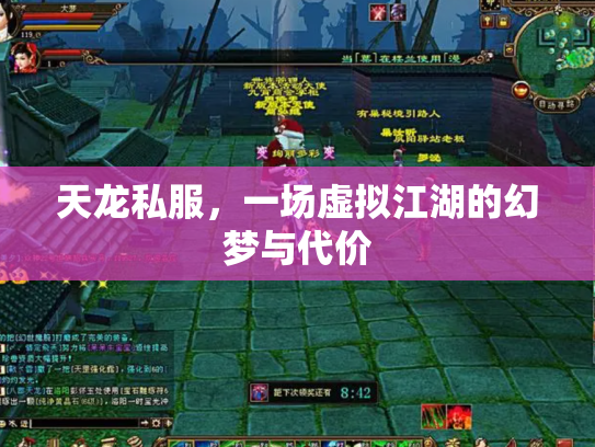 天龙私服，一场虚拟江湖的幻梦与代价