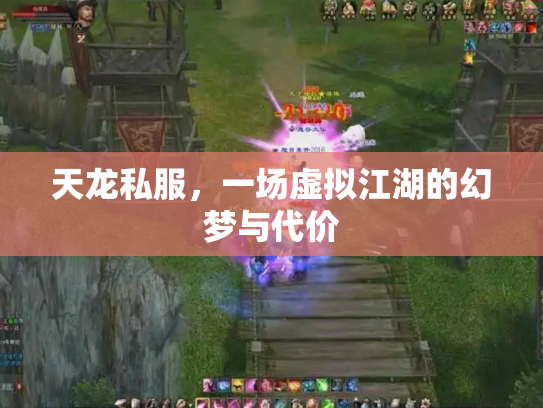 天龙私服，一场虚拟江湖的幻梦与代价