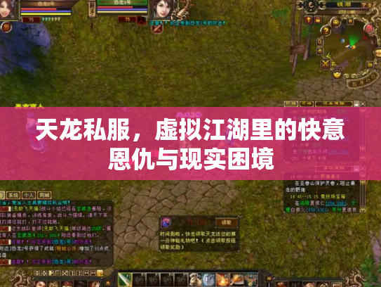 天龙私服，虚拟江湖里的快意恩仇与现实困境