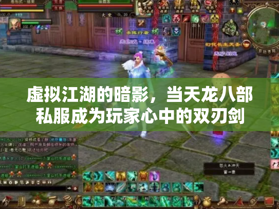 虚拟江湖的暗影，当天龙八部私服成为玩家心中的双刃剑