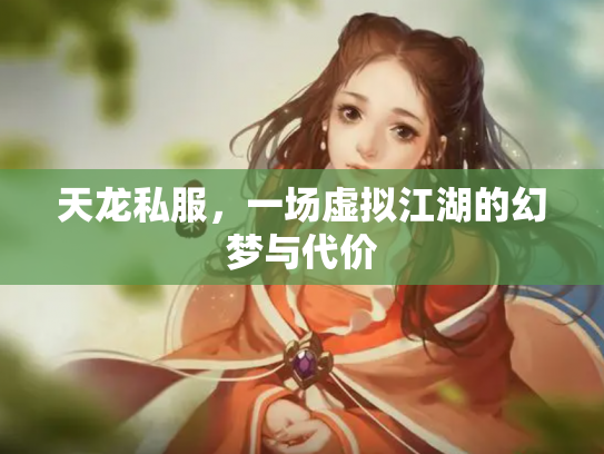 天龙私服，一场虚拟江湖的幻梦与代价